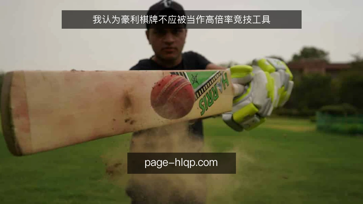 我认为豪利棋牌不应被当作高倍率竞技工具